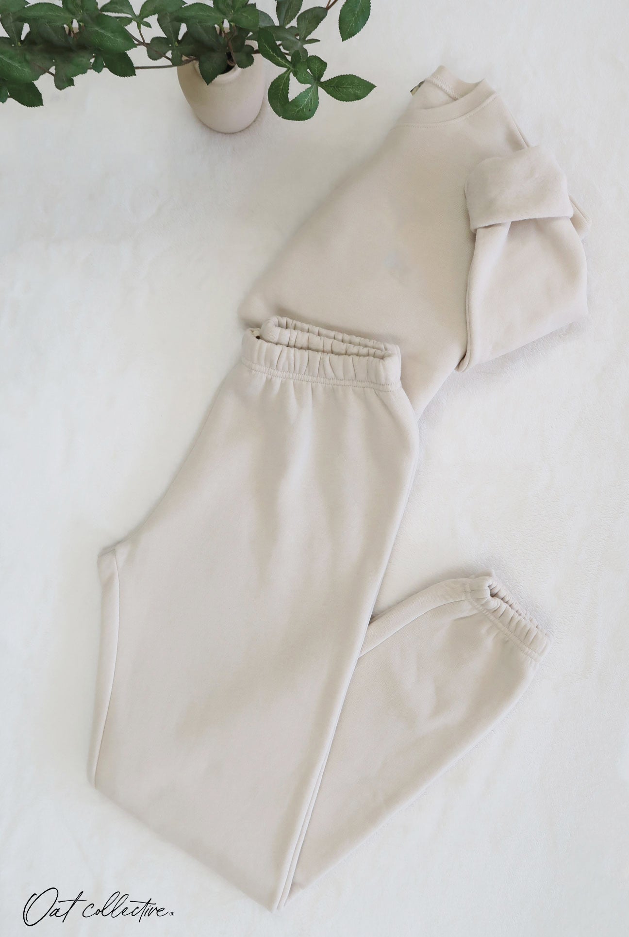 Premium Plush Jogger Pants Oat Collective