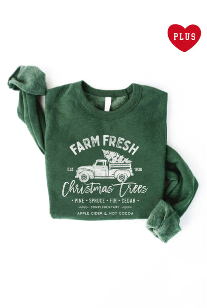 FARM FRESH CHRISTMAS  Plus Graphic Sweatshirt Oat Collective