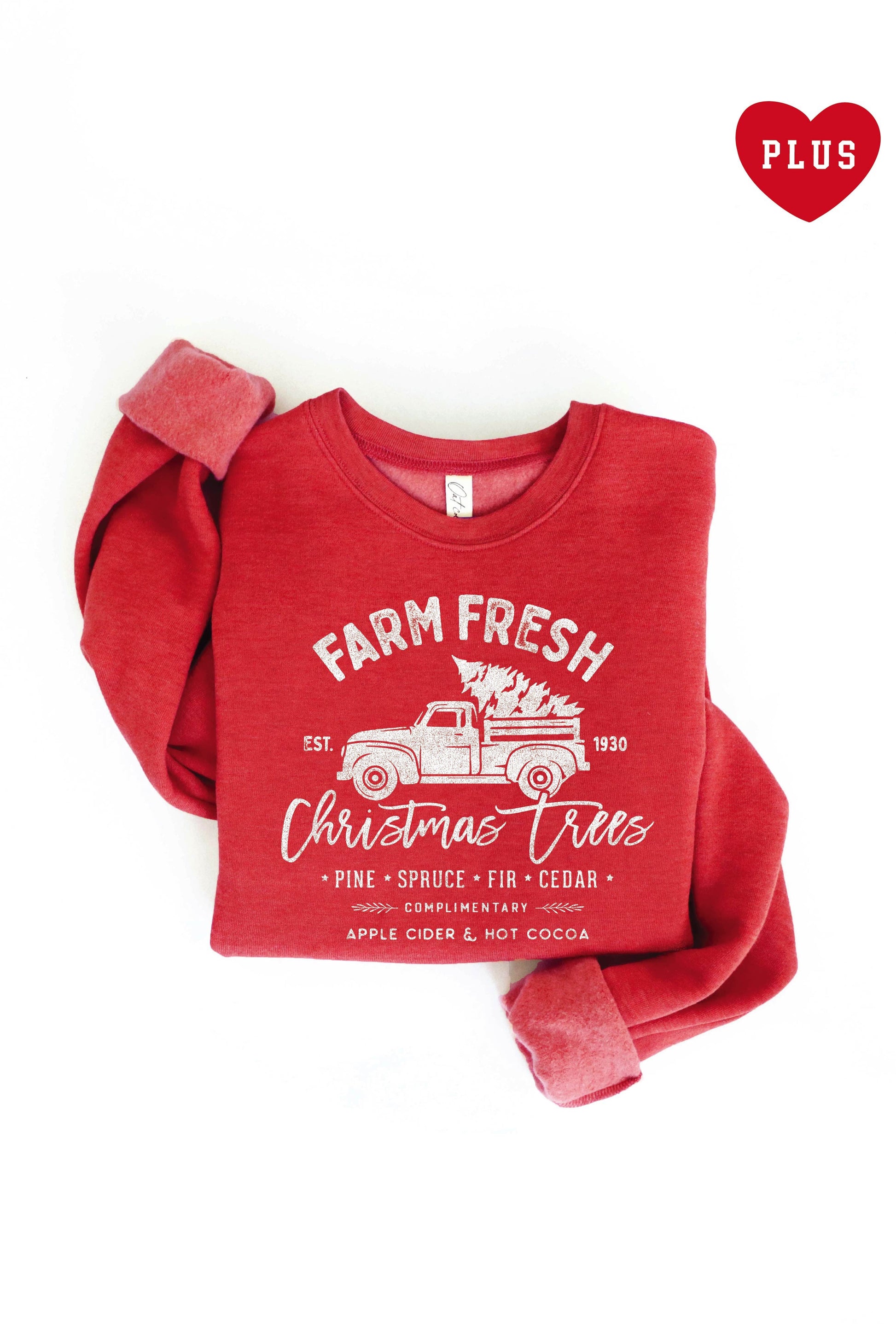 FARM FRESH CHRISTMAS  Plus Graphic Sweatshirt Oat Collective