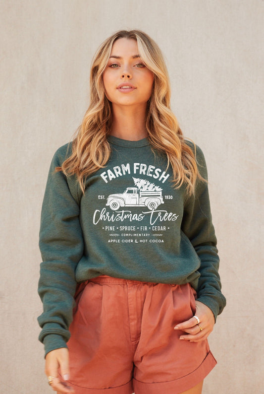 FARM FRESH CHRISTMAS  Plus Graphic Sweatshirt Oat Collective