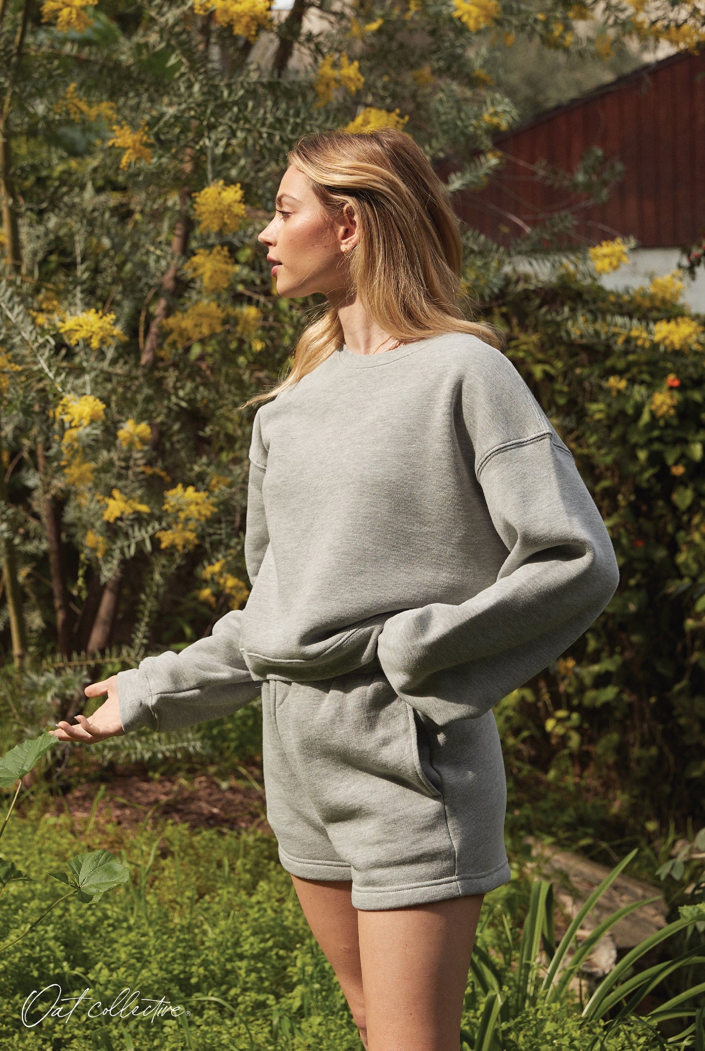 BASIC Sweat Short Oat Collective