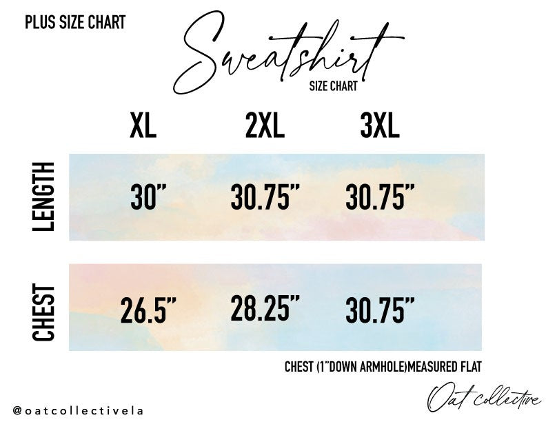 RIBBON BOW PUFF Plus Graphic Sweatshirt Oat Collective