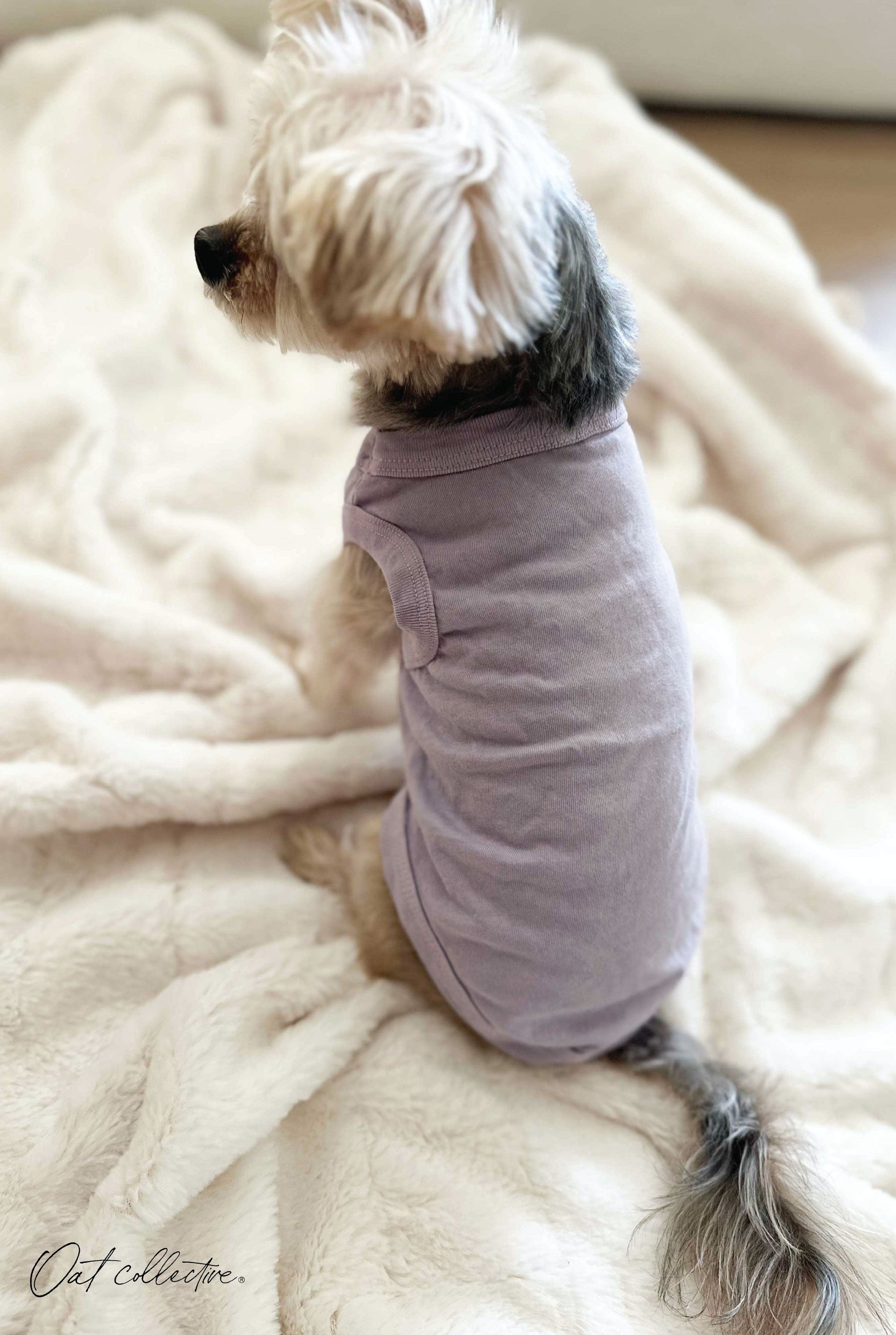 Premium Cotton Mineral Basic Pet Tank Oat Collective