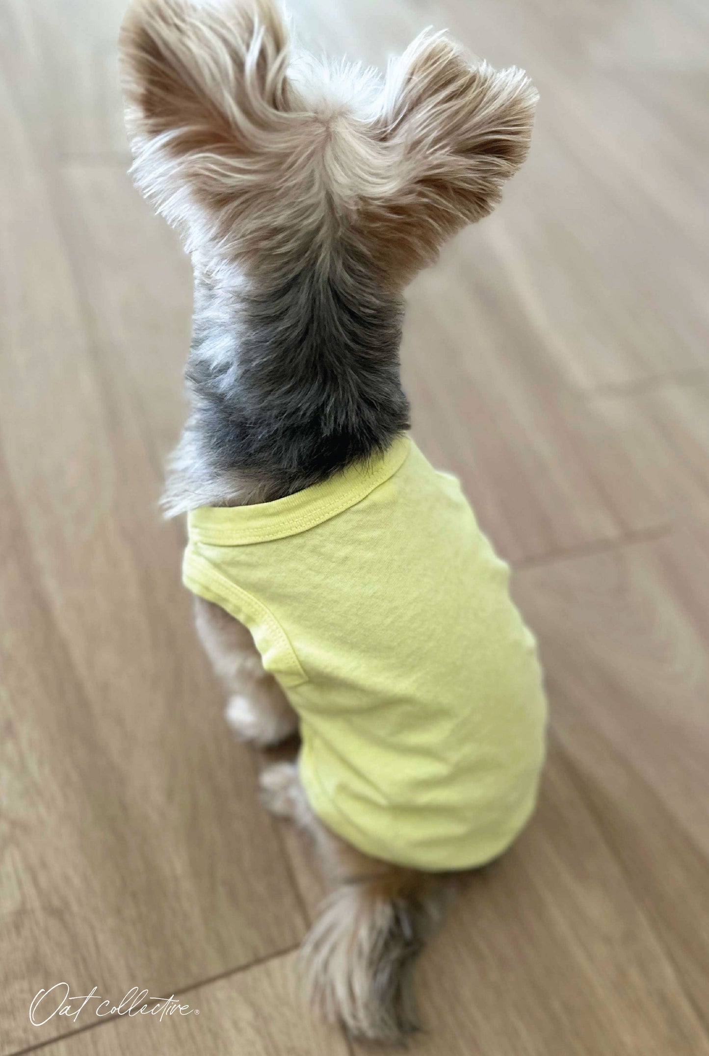 Premium Cotton Mineral Basic Pet Tank Oat Collective