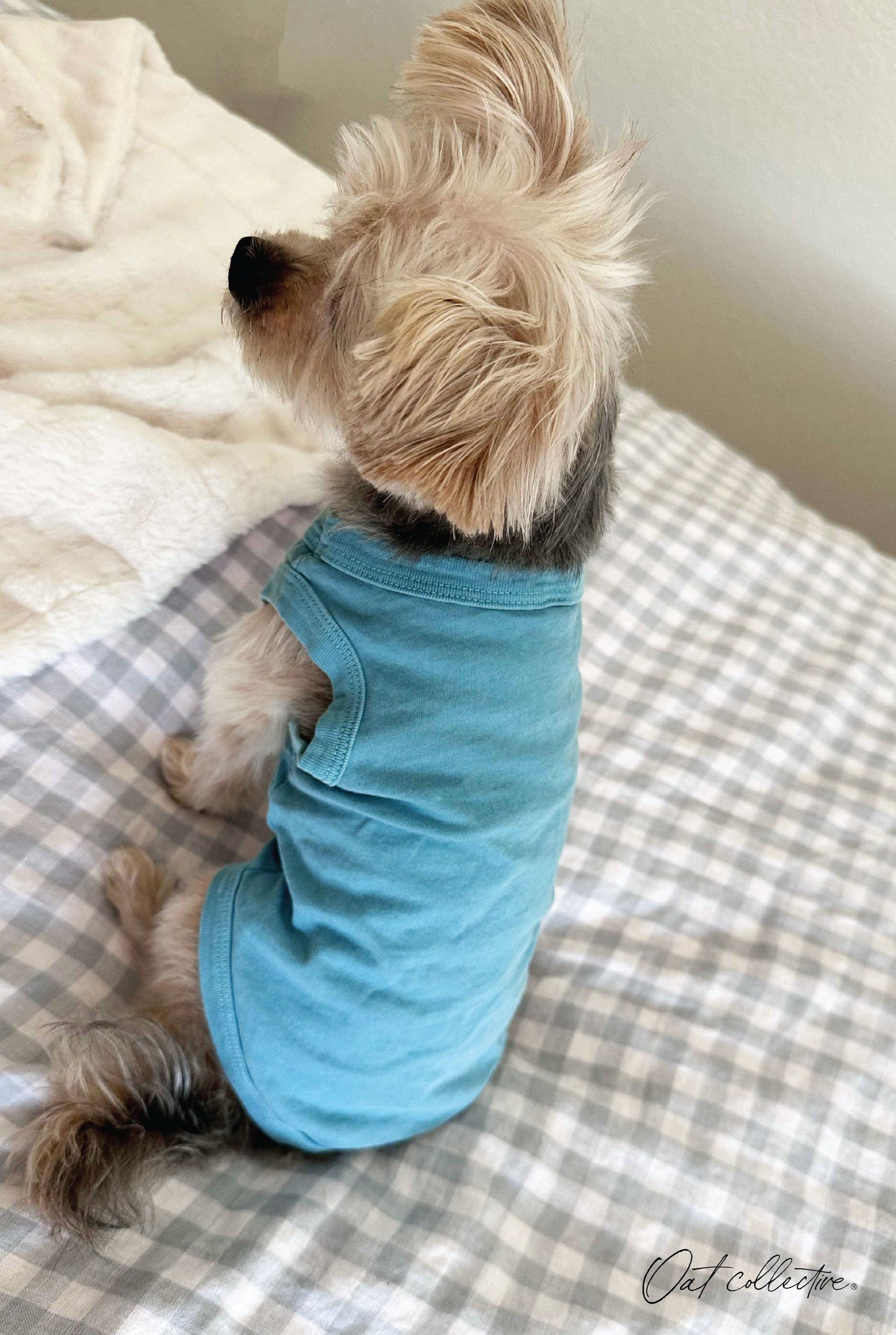 Premium Cotton Mineral Basic Pet Tank Oat Collective