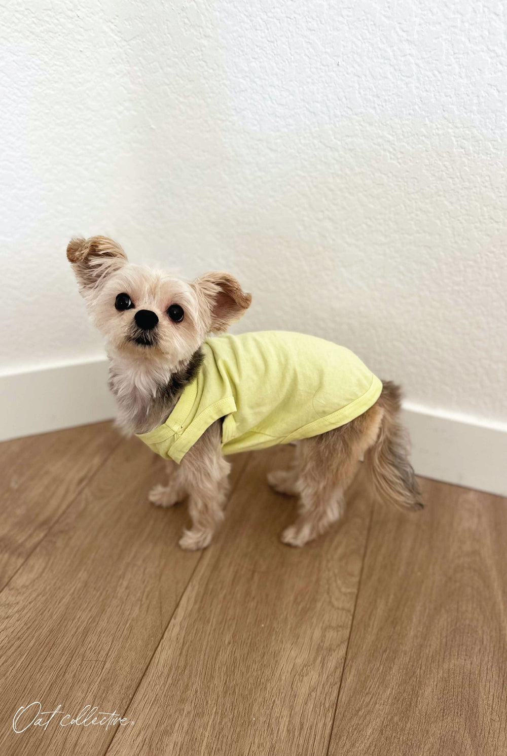 Premium Cotton Mineral Basic Pet Tank Oat Collective