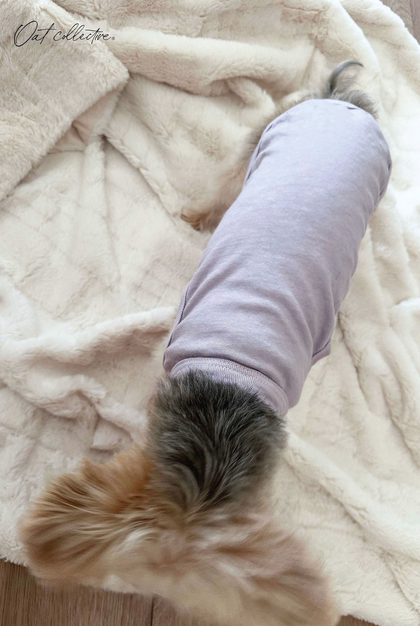 Premium Cotton Mineral Basic Pet Tank Oat Collective