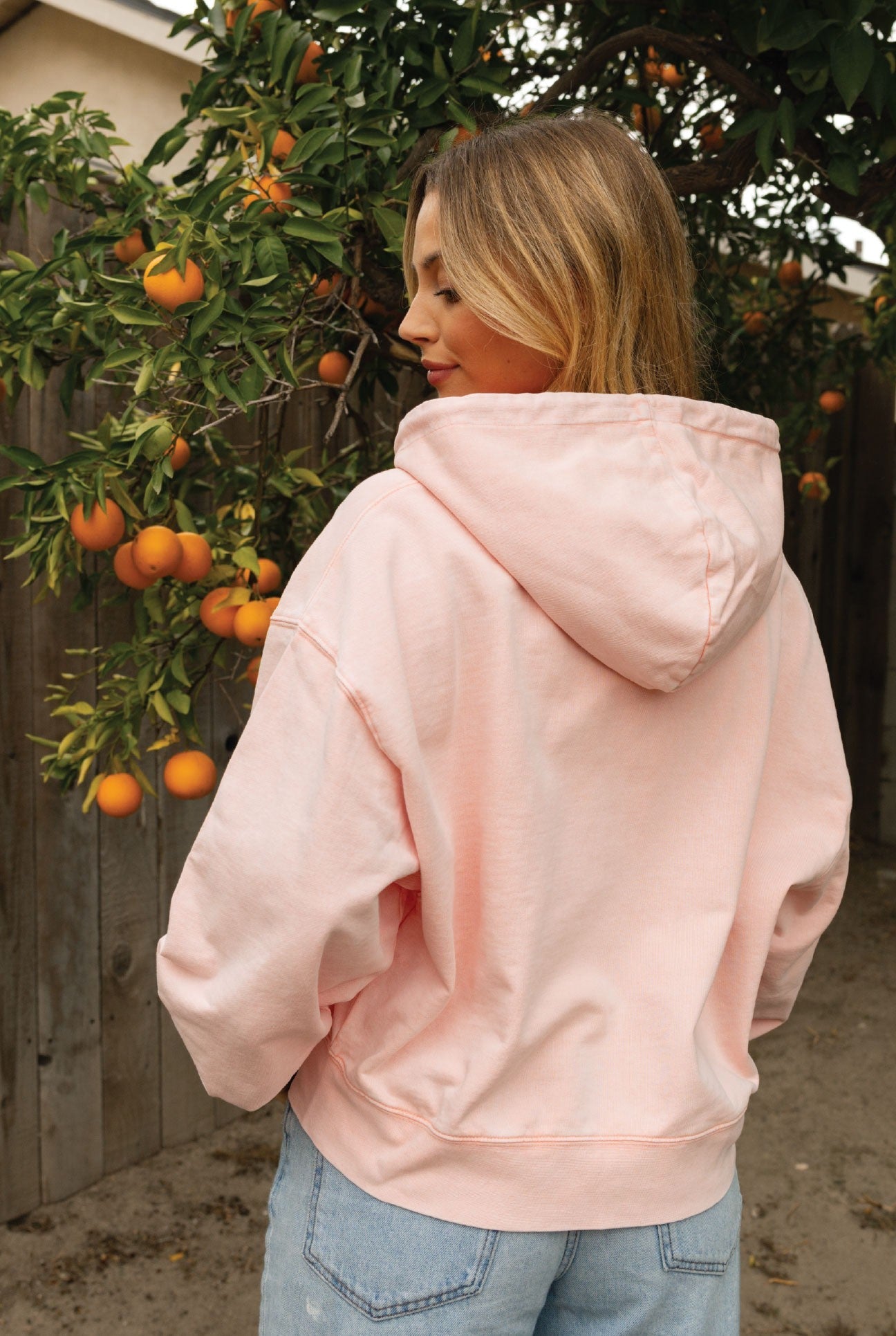 RAISING BELIEVERS Cropped Mineral Zipper Hooded Oat Collective