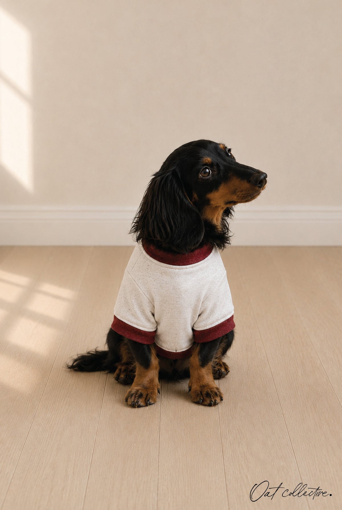 BASIC VARSITY SWEATSHIRT Basic Pet Sweatshirt Oat Collective