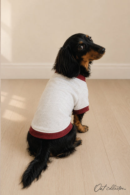 BASIC VARSITY SWEATSHIRT Basic Pet Sweatshirt Oat Collective