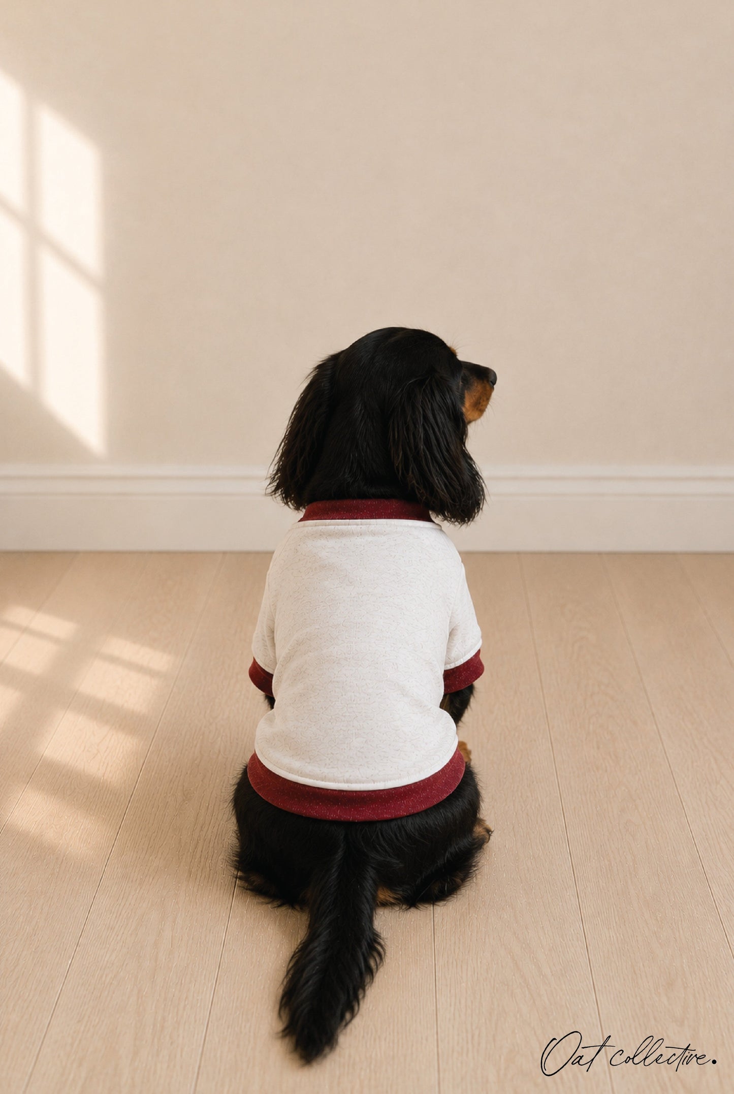 BASIC VARSITY SWEATSHIRT Basic Pet Sweatshirt Oat Collective