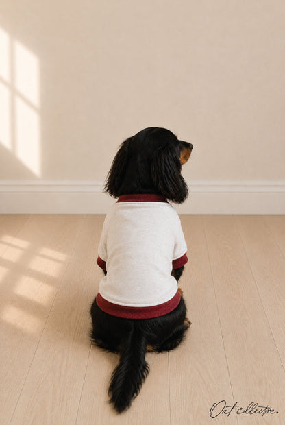 BASIC VARSITY SWEATSHIRT Basic Pet Sweatshirt Oat Collective