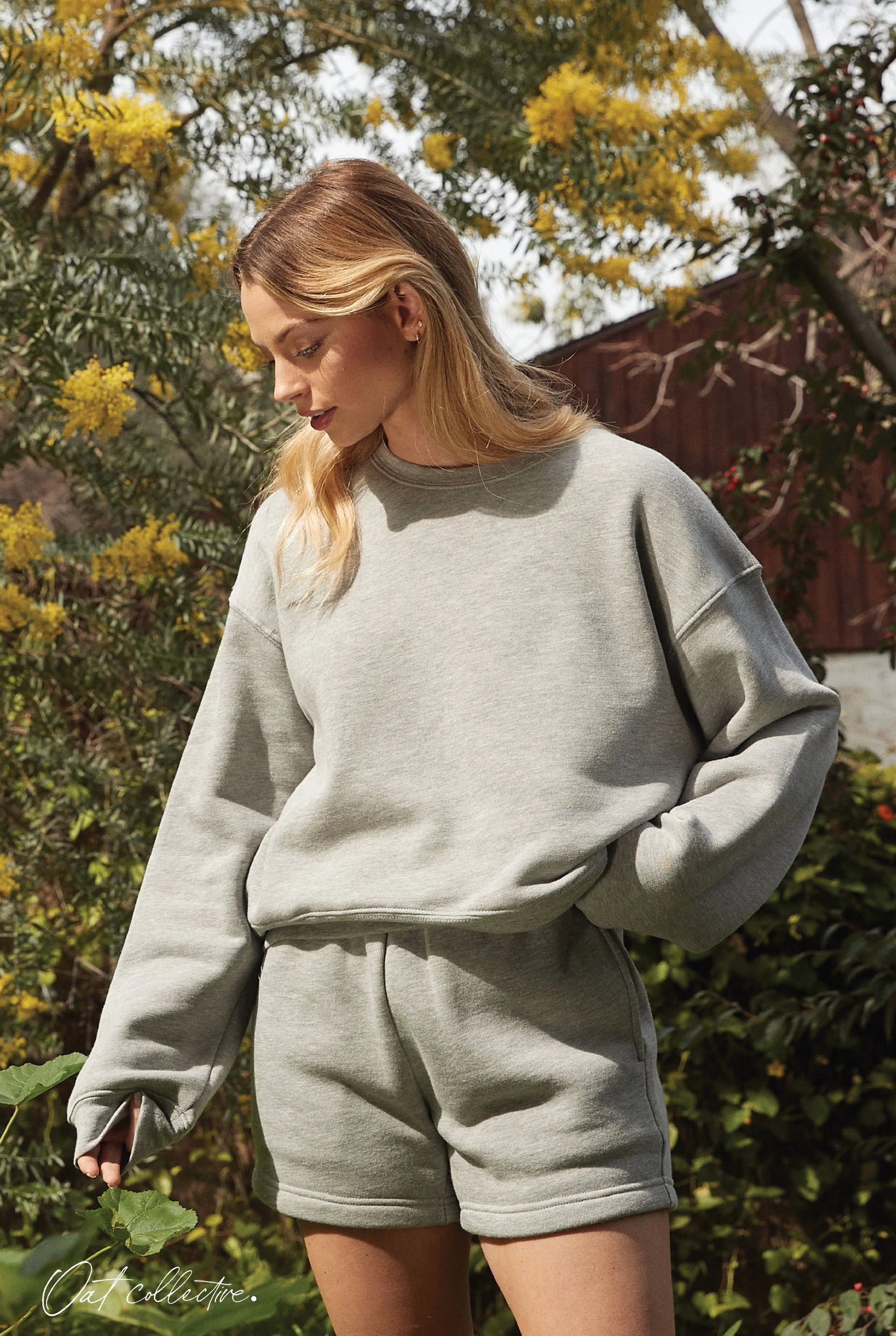 Premium Plush Cropped Sweatshirt Oat Collective