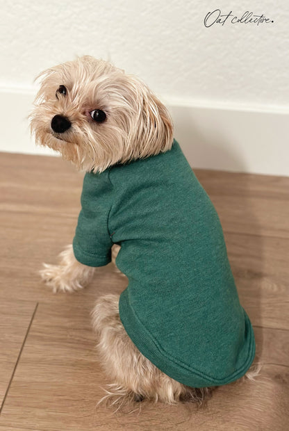 Premium Basic Pet Sweatshirt Oat Collective