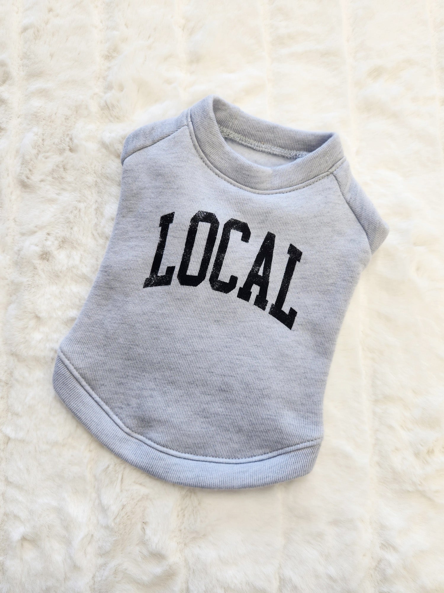 LOCAL Pet Graphic Sweatshirt Oat Collective