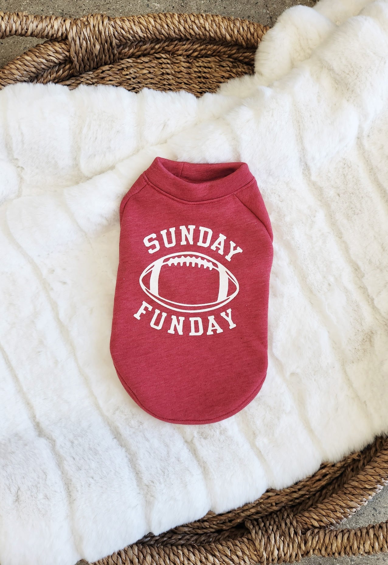 SUNDAY FUNDAY Pet Graphic Sweatshirt Oat Collective