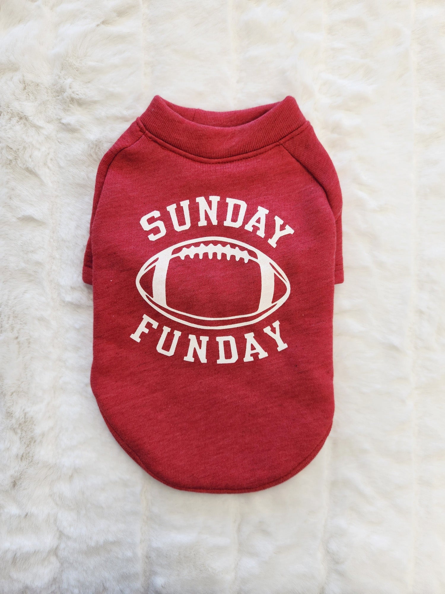 SUNDAY FUNDAY Pet Graphic Sweatshirt Oat Collective