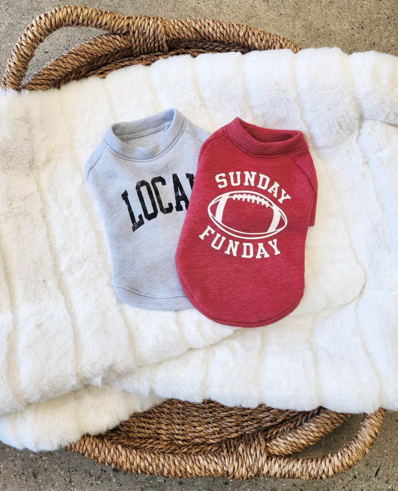 SUNDAY FUNDAY Pet Graphic Sweatshirt Oat Collective