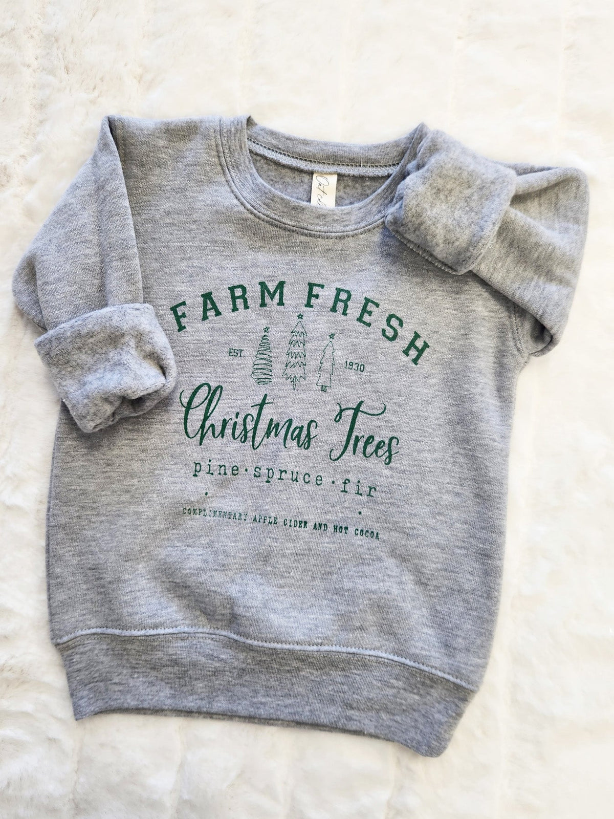 FARM FRESH CHRISTMAS Toddler Graphic Sweatshirt Oat Collective